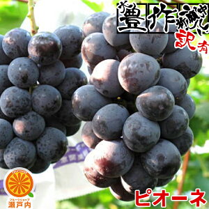 QY LsI[l 󂠂 800g(ڈ1`2[) ƒpy(ꕔn揜)zsIʁEs QY t[c  ʕ  ʎ  HiX Ԃǂ uhE  f