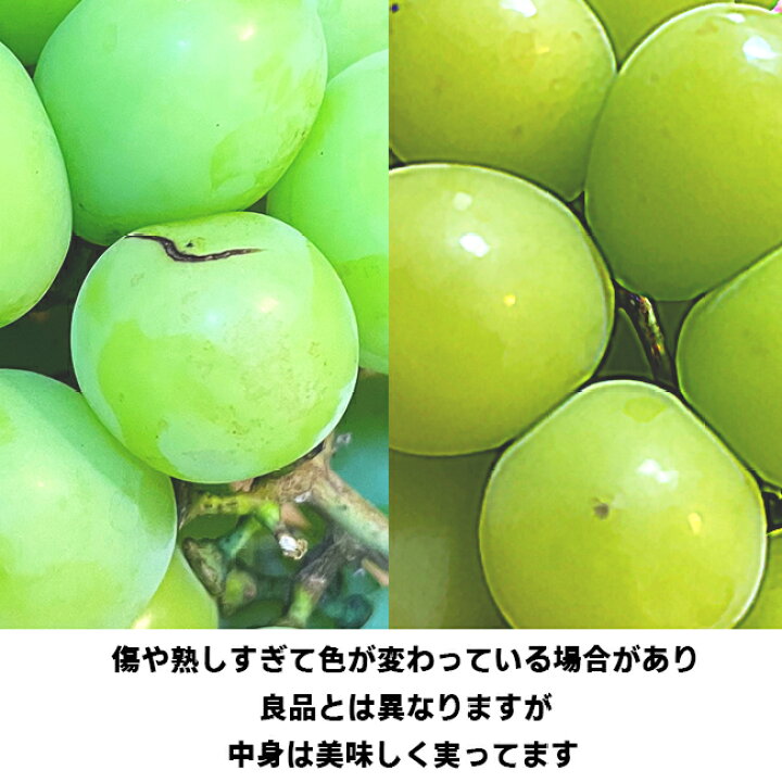 楽天市場】ご家庭用 農家さんもぐもぐ 訳ありシャインマスカット 約 