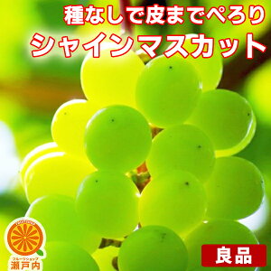 VC}XJbg Ǖi 2kg`2.4kg (ڈ2`8[) ƒpy(ꕔn揜)zt[c  炲ƐHׂ ȂԂǂ ʕ  ʎ  HiX uhE  fU[