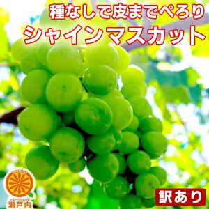 VC}XJbg 󂠂 2kg`2.4kg (ڈ2`8[) ƒpy(ꕔn揜)zt[c  炲ƐHׂ ȂԂǂ ʕ  ʎ  HiX uhE  fU