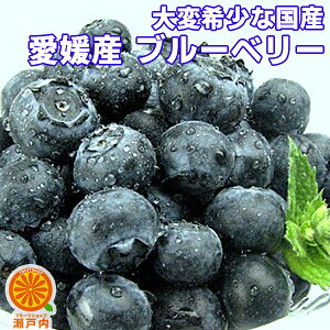 ブルーベリー 100gの人気商品 通販 価格比較 価格 Com