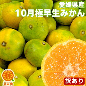 訳あり みかん 10kgの人気商品 通販 価格比較 価格 Com 訳あり みかん 10kgの人気商品 通販 価格比較 価格 Com