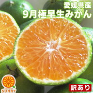酸っぱうま～い♪愛媛産 極早生みかん 10kg 訳あり【送料無料(一部地域除く)】不揃い 愛媛県産 フルーツ …