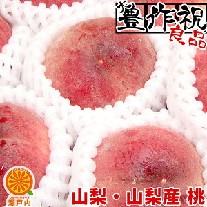 RER`Y n 2kg(1.7`2.2kg) Ǖiy(ꕔn揜)zpɍœK  s[` t[c ʕ  ʎ  HiX  fU[g Ri ԉ Ă̖