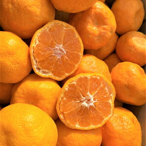 _ƂnEX݂ 2kg 󂠂y(ꕔn揜)z2i+2kg(6kgZbg) 3i+4kg(10kgZbg)zysQY ƒp t[c {̉ʕ Ă̂ ʎ HiX R