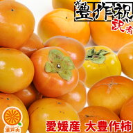 今だけ1kg増量中！合計5kg 愛媛産 大豊作訳あり柿 4kg 品種おまかせ【送料無料(一部地域除く)】愛媛県産 …