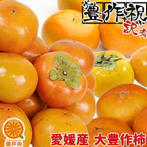 柿 訳ありの人気商品 通販 価格比較 価格 Com