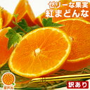 愛媛産 紅まどんな (家庭用) 2kg 訳あり・不揃い【11月下旬発送予定】【送料無料(一部地域除く)】愛媛県産 紅マドンナ あいか 愛媛果試第28号 フルーツ 果物 くだもの 果実 青果 食品ロス みかん 蜜柑 柑橘類 かんきつ デザート コロナ おうち時間応援 冬の味覚