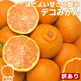 楽天市場 ポンカンの通販