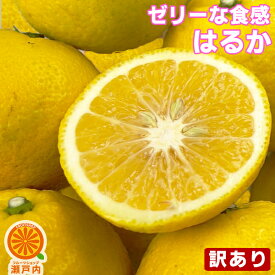 愛媛産 はるか 5kg 訳あり【送料無料(一部地域除く)】不揃い 愛媛県産 春香 家庭用 フルーツ 果物 くだもの 果実 食品ロス お取り寄せグルメ コロナ お家時間応援 みかん 箱買い 蜜柑 柑橘類 かんきつ おやつ デザート 冬の味覚 産地直送