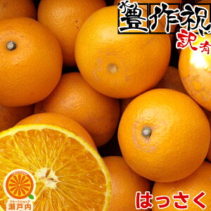�y�������Ɂ�z���Q�Y ���� (�͂�����) 2kg �󂠂�y2�i��+2kg(6kg�Z�b�g) 3�i��+4kg(10kg�Z�b�g)�z�y��������(�ꕔ�n�揜��)�z�s���� ���Q���Y �ƒ�p �t���[�c �ʕ� �������� ������ �H�i �݂�