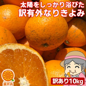 みかん箱売り