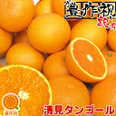 愛媛産 清見タンゴール(清見オレンジ) 10kg 訳あり【送料無料(一部地域除く)】不揃い 愛媛県産 きよみ 家庭用 フルーツ 旬の果物 くだもの 青果 食品 ...