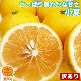 愛媛産 小夏 10kg 訳あり・不揃い【送料無料(一部地域除く)】愛媛県産 こなつ ニューサマーオレンジ 日向夏 土佐小夏 家庭用 フルーツ 旬の果物 くだもの 果実 食品 みかん 蜜柑 柑橘類 かんきつ おやつ コロナ おうち時間応援 春の味覚 産地直送