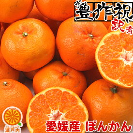 愛媛産 ぽんかん 5kg 訳あり・不揃い【送料無料(一部地域除く)】愛媛県産 椪柑 ポンカンオレンジ デコポンの親品種 フルーツ 美味しいみかん 果物 くだもの かんきつ 食品ロス みかん 箱買い お取り寄せグルメ 蜜柑 柑橘類 コロナ おうち時間応援 産地直送