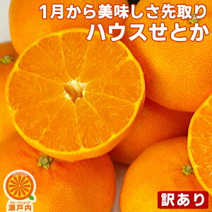 青 果実 フルーツの人気商品 通販 価格比較 価格 Com