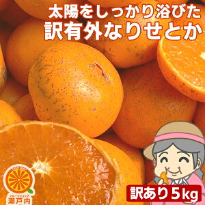 ���i�摜