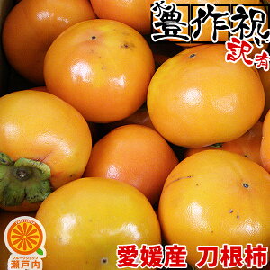 QY ȂŐHׂ₷` 5kg 󂠂Esy10{zy(ꕔn揜)z˂Ȃ` QY t[c ƒp  ` ʕ  ʎ  Hi 