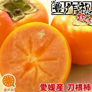 yɁzQY Ȃ` 1kg 󂠂y10{zy2i+1kg(3kgZbg) 3i+2kg(5kgZbg)zy(ꕔn揜)z˂Ȃ` t[c ƒp  ` 