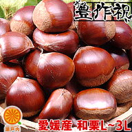 愛媛産 生栗 良品 約1kg(約15〜25個)【2品で+1kg(3kgセット) 3品で+2kg(5kgセット)】L〜3Lサイズ【送料無…