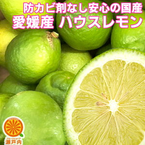 QY nEX 1kg 󂠂y(ꕔn揜)zEs EG Y lemon h hэܕsgp QY ƒp t[c ʕ  ʎ ݂ k R