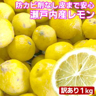 瀬戸内産 国産レモン 1kg 訳あり【2品で+1kg(3kgセット) 3品で+2kg(5kgセット)】【送料無料(一部地域除く…