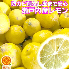 瀬戸内産 国産レモン 4kg 訳あり 不揃い【送料無料(一部地域除く)】檸檬 防腐剤 防かび剤不使用 愛媛県産または広島県産 家庭用 レモン果汁 フルーツ 果物 くだもの 果実 みかん科 蜜柑 柑橘類 lemon お菓子作り レモンサワー コロナ おうち 食品 かんきつ