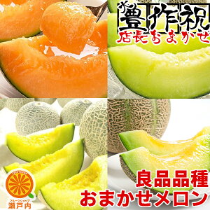 X܂ 2.5kg`3.5kg 2`6ʓ y(ꕔn揜)zHiX Ri ԂƐY҉ QY 錧Y mY F{Y R`Y ƒp t[c {̉ʕ 