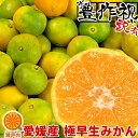 楽天市場 みかん 産地 都道府県 愛媛 人気ランキング1位 売れ筋商品