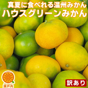 yɁzQY nEXO[݂ 1kg 󂠂y2i+1kg(3kgZbg) 3i+2kg(5kgZbg)zy(ꕔn揜)zQY ƒp t[c ʕ Ă̂ ʎ  Hi 