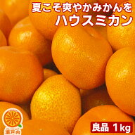ハウスみかん 1kg 良品【2品で+1kg(3kgセット) 3品で+2kg(5kgセット)】【送料無料(一部地域除く)】愛媛県…