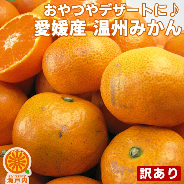 楽天市場 買い回りに 愛媛産 温州みかん 3kg 訳あり 不揃い 2品で 3kg 9kgセット 3品で 6kg 15kgセット 送料無料 一部地域除く 愛媛県産 フルーツ 果物 ご家庭用 くだもの 青果 お試し 食品 みかん 柑橘類 かんきつ おやつ デザート 冬の味覚 産地直送