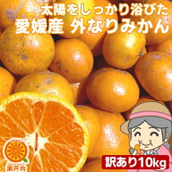 ドーンと10.5kg！ 愛媛産 ご家庭用 農家さんもぐもぐ 外なり訳ありみかん 10kg(+約0.5kg多め)【送料無料(…