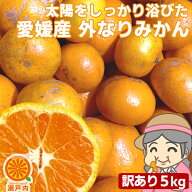 たっぷり5.5kg！愛媛産 ご家庭用 農家さんもぐもぐ 外なり訳ありみかん 5kg(+約0.5kg多め)【送料無料(一…