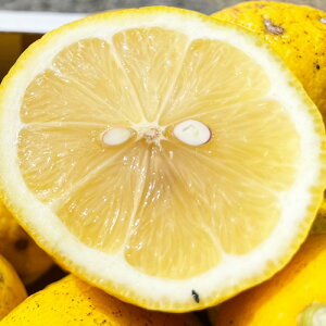 _ƂY 1kg 󂠂y2i+1kg(3kgZbg) 3i+2kg(5kgZbg)zy(ꕔn揜)zEG lemon h hэܕsgp QYLY ˓ ƒp t