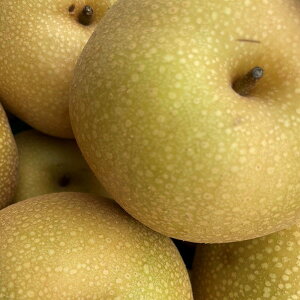3cƓȓUoׁ􈤕QY _Ƃa4kg 󂠂y(ꕔn揜)s낢 sI pɍœK a Ȃ t[c ʕ  ʎ  HiX  fU