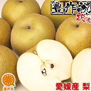 3cƓȓUoׁ􈤕QY  4kg 󂠂y(ꕔn揜)zs낢 sI pɍœK a Ȃ t[c ʕ  ʎ  HiX  fU[g H̖o R