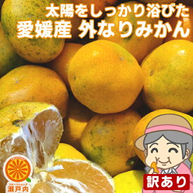 楽天市場 コロナ応援 果物の通販