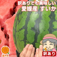もぐもぐ すいか 1玉 約3kg〜4kg 訳あり【送料無料(一部地域除く)】不揃い 家庭用 スイカの日 西瓜 フル…