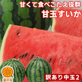 楽天市場 スイカ 愛媛県の通販