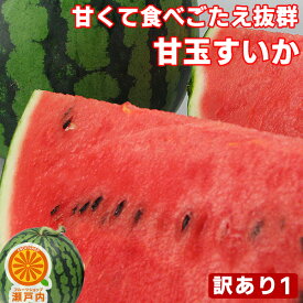 楽天市場 スイカ 果物の通販