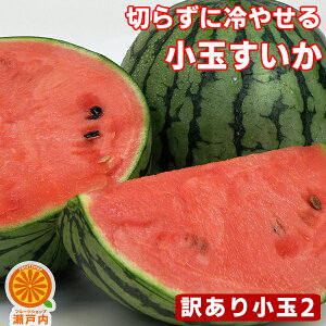 ���i�摜