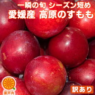 愛媛産 高原のすもも 訳あり 約1.4kg【クール便送料無料(一部地域除く)】不揃い 愛媛県産 スモモ 李 酢桃…