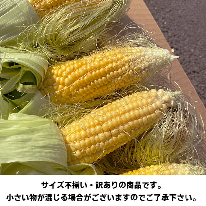 楽天市場 4 10本入り 愛媛 長野産等 とうもろこし 約2kg 訳あり クール便送料無料 一部地域除く 愛媛県産他 スイートコーン 家庭用 食品ロス お取り寄せグルメ トウモロコシ バーベキュー q キャンプ トウキビ 野菜 甘い おやつ デザート コロナ おうち時間応援