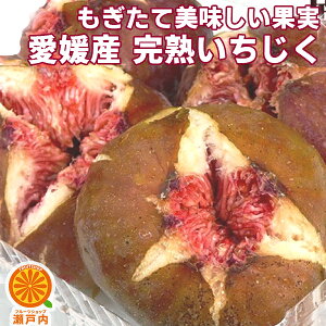 QY  600g (1pbN200g)×3pbNyN[֑(ꕔn揜)zQY C`WN  ԉ t[c {̉ʕ  ƒp ʎ  HiX  fU[g R