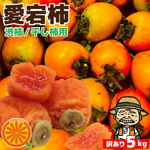 邵`p`yԊ`z5kgy(ꕔn揜)zQY t[c ƒp  ` ʕ  ʎ  Hi HiX  fU[g Ri ԉ H̖o 