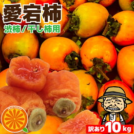 つるし柿用あたご柿【しぶ柿】10kg【送料無料(一部地域除く)】愛媛県産 フルーツ ご家庭用 かき 柿 果物 くだもの 果実 青果 食品 食品ロス おやつ デザート コロナ おうち時間応援 秋の味覚 産地直送