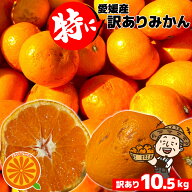 只今出荷中！愛媛産 特に訳ありみかん【送料無料(一部地域除く)】10kg(+約0.5kg多め)発送時期でグリーン…