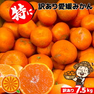 只今出荷中！愛媛産 特に訳ありハウスみかん【送料無料(一部地域除く)】7kg(+約0.5kg多め)不揃い 傷 汚れ…