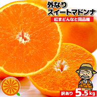 愛媛産 ご家庭用 農家さんもぐもぐ 外なり訳ありスイートまどんな 5kg(+約0.5kg多め)【送料無料(一部地域…
